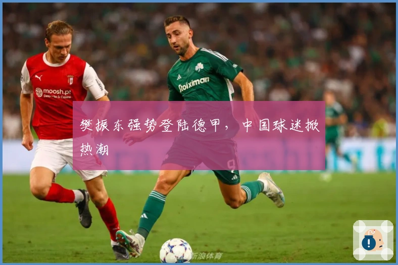 樊振东强势登陆德甲，中国球迷掀热潮